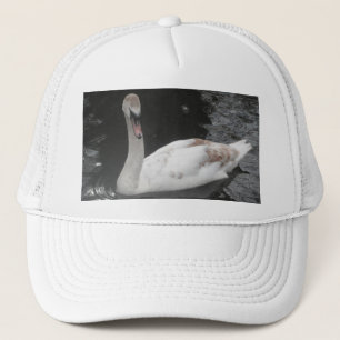 Cría de cisne con sombrero