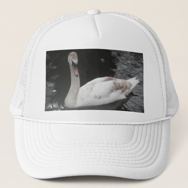 Cría de cisne con sombrero (Anverso)