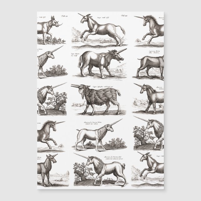 Criatura Mítica Clásica Unicorniana (Anverso)