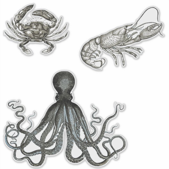 Criaturas marinas Pegatinas de vinilo transparente (Anverso)
