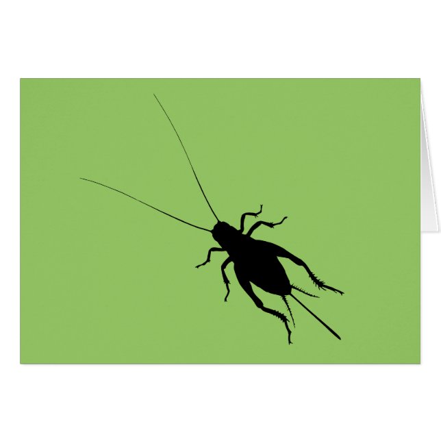 Cricket negro (Anverso (Horizontal))