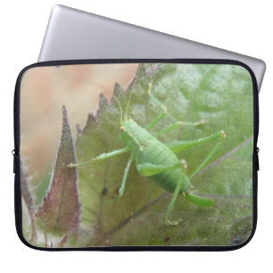 Cricket verde en la bolsa de una laptop hoja