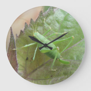 Cricket verde en un reloj de pared de hojas