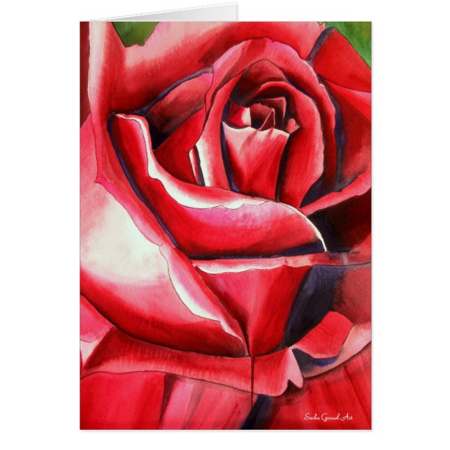 Crimson Red Rose original pintura acuarela (Frente)