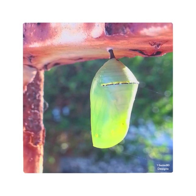 Crisálida Monarch 2018 - Impresión Metalizado (Anverso)