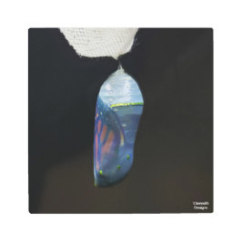 Crisálida Monarch 2022 - Impresión Metalizado