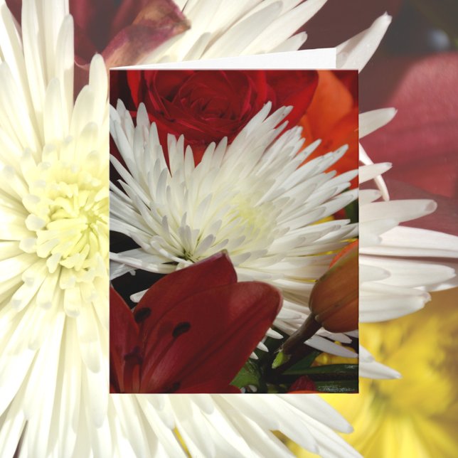 Crisantemo blanco entre flores rojas y Naranjas (Subido por el creador)