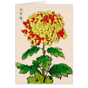 Crisantemo del japonés del vintage. Amarillo de l