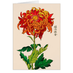 Crisantemo japonés vintage. Polvo y Naranja
