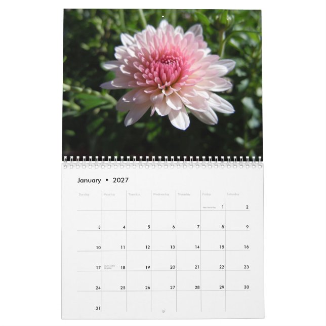 Crisantemos rosados, un calendario 2012 (Jan 2027)