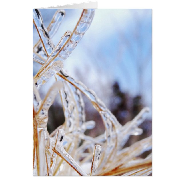 Cristal (Frente)
