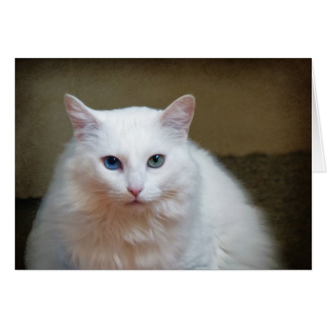 Cristal (Anverso (Horizontal))