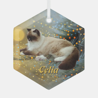 Cristal Adorno de mascota de árbol de Navidad de vidrio pe