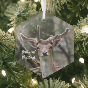 Cristal Adorno de Navidad con foto personalizada de ciervo