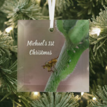 Adorno de Navidad con Foto Personalizada de Mosca 
