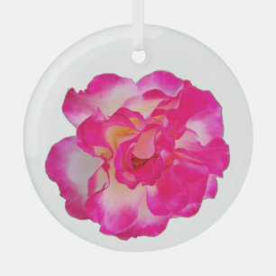 Cristal Adorno de Rosa Rosa Vibrante