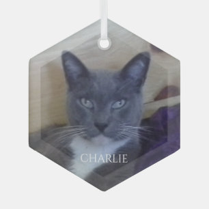 CRISTAL ADORNO DE VIDRIO HEXAGONAL PET LOVE