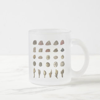 Cristal Esmerilado Taza de la lapa de Charles Darwin