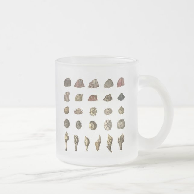 Cristal Esmerilado Taza de la lapa de Charles Darwin (Derecha)