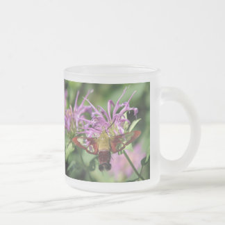 Cristal Esmerilado Taza de la polilla de colibrí