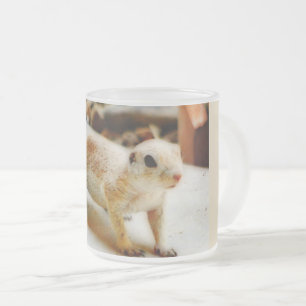 Cristal Esmerilado Taza helada de la ardilla de tierra del bebé