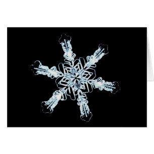 Cristal estelar de la nieve