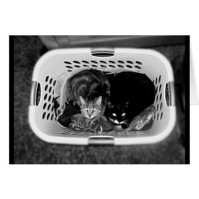 Cristóbal de la cesta de la tierra B+W (Anverso (Horizontal))