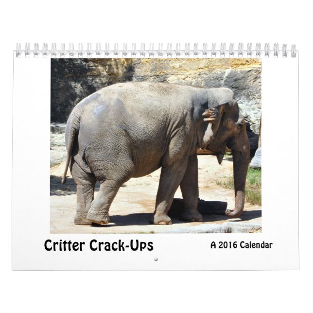 Critter Grieta-UPS, un calendario animal chistoso (Tapa)