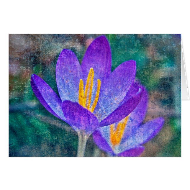 Crocus (Anverso (Horizontal))
