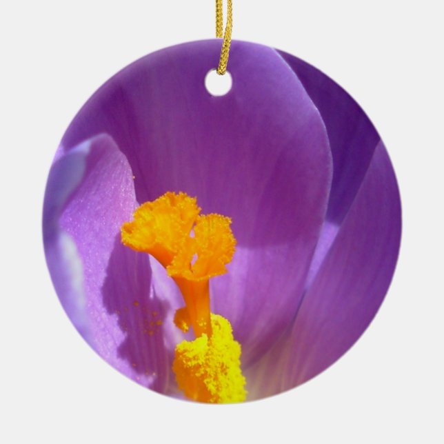 Crocus Ornament Purple Flowers Decoración (Frente)