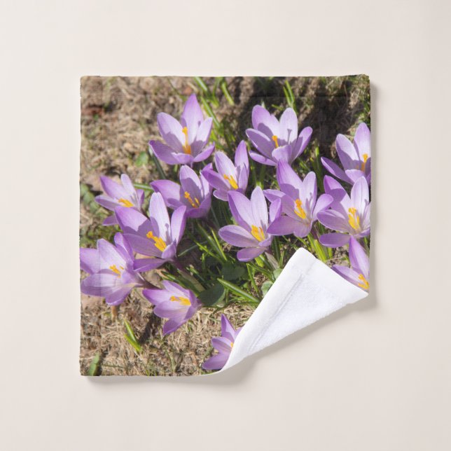 Crocus primaverales lindos (Toallita)