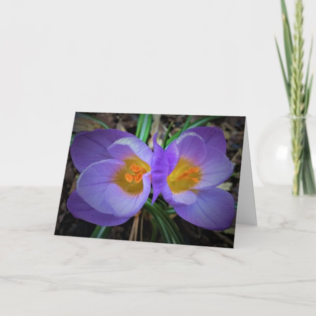Crocus, tarjeta (Anverso)
