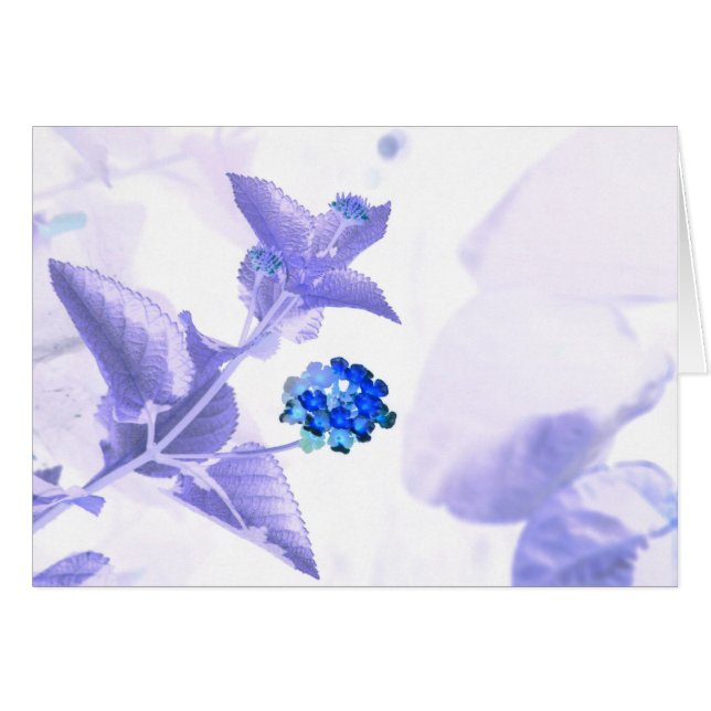 CROMATOGRAFÍA GASEOSA de la comunicación (Anverso (Horizontal))