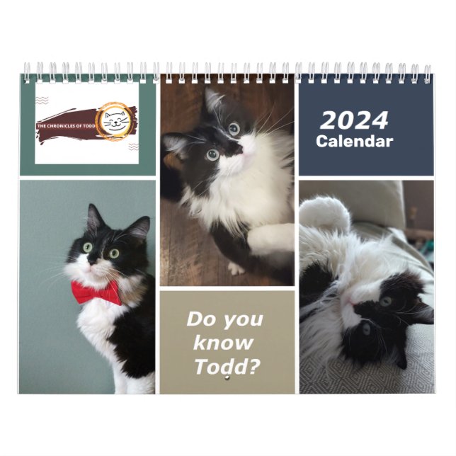 Crónicas del calendario Todd 2024 (Tapa)