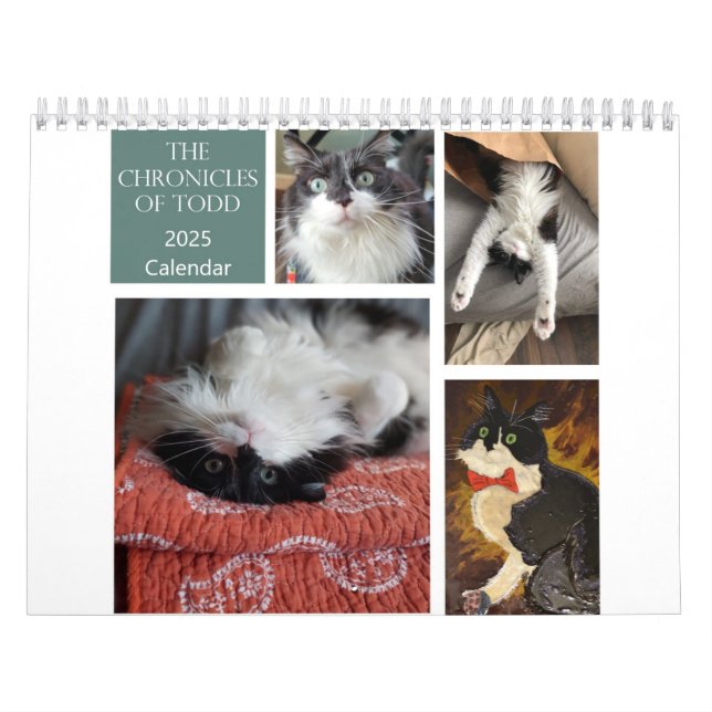 Crónicas del calendario Todd 2025 (Tapa)