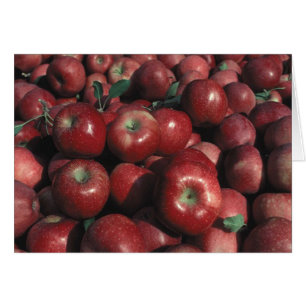 Crop de Apple Red Delicious