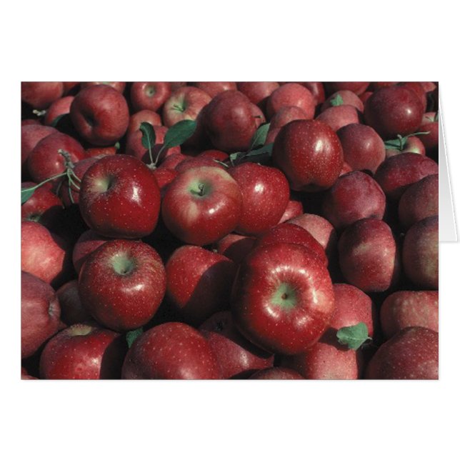 Crop de Apple Red Delicious (Anverso (Horizontal))