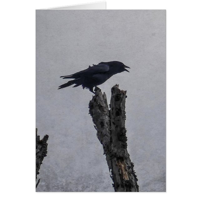 Crow Card (Frente)