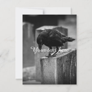 Crow en el cementerio caído