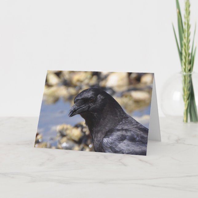 Crow humorístico - Tarjeta de arte marco (Anverso)