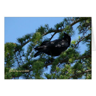 Crow negro (1a) - Personalizable