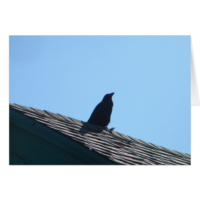 Crow On Roof (Anverso (Horizontal))