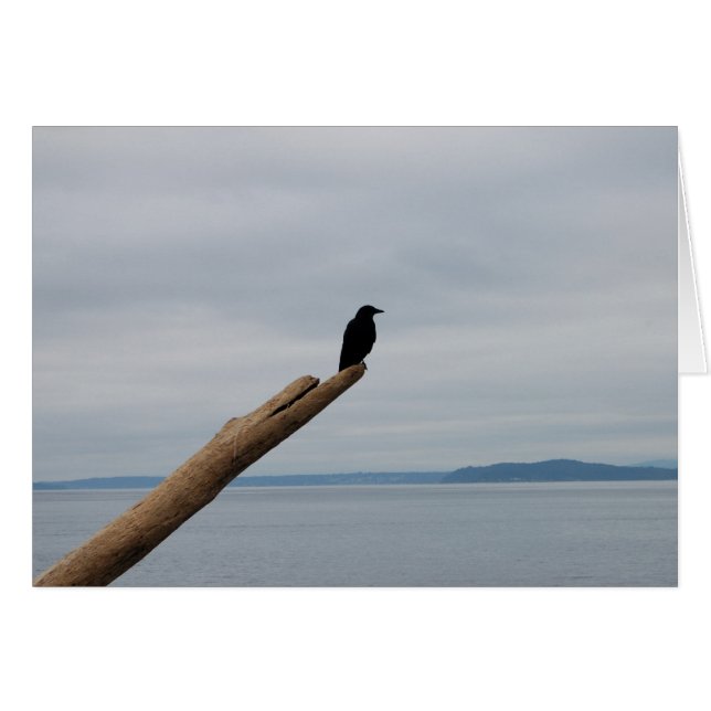 Crow Sentinel (Anverso (Horizontal))