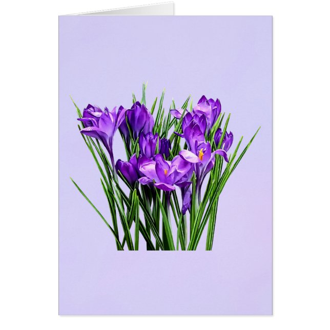 Cruces moradas (Frente)