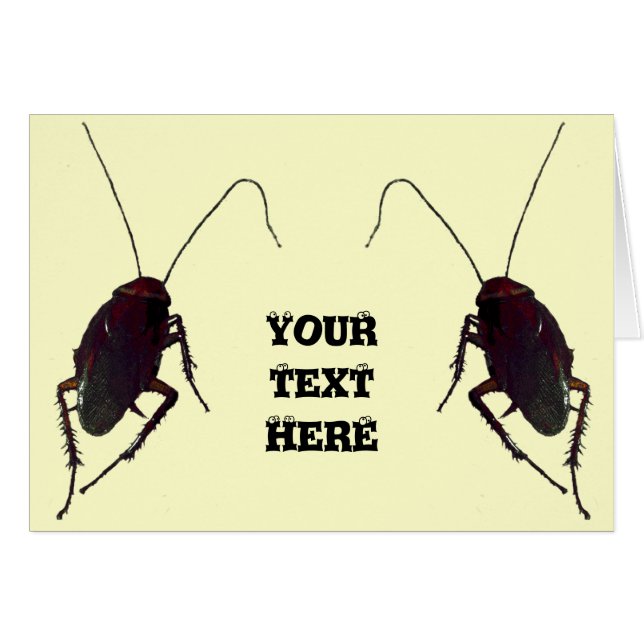 Crunchy Cockroach (Anverso (Horizontal))