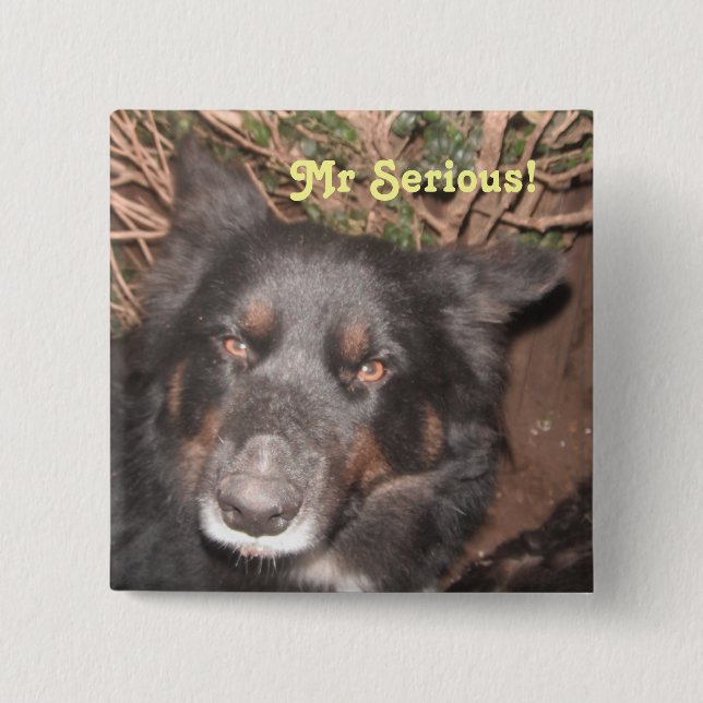 Cruz de color Husky de botón (Anverso)