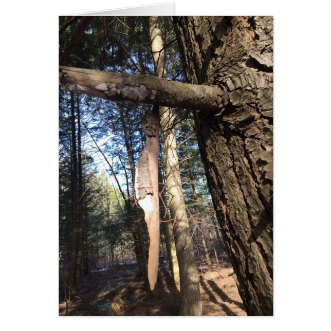 Cruz de la Paz (Frente)