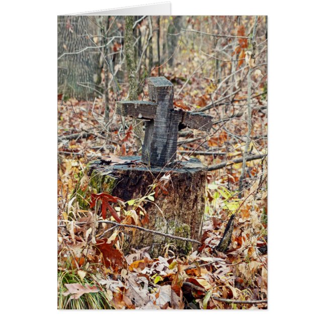 Cruz en los bosques (Frente)