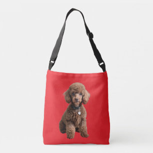Cruzado Poodle Chic” – Bolso transversal de peluche de poo