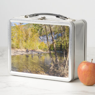 Cruzando El Buzón Del Río Búfalo